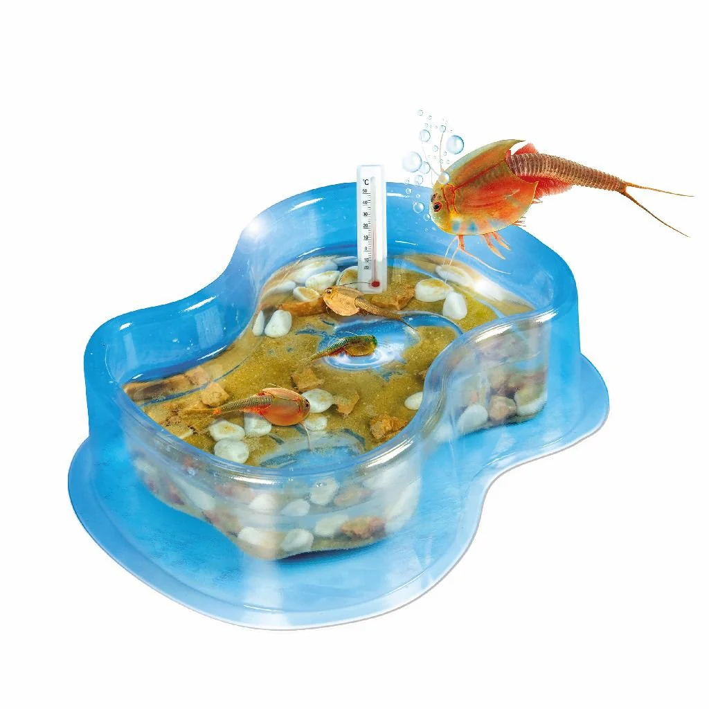 Miniatuur 2