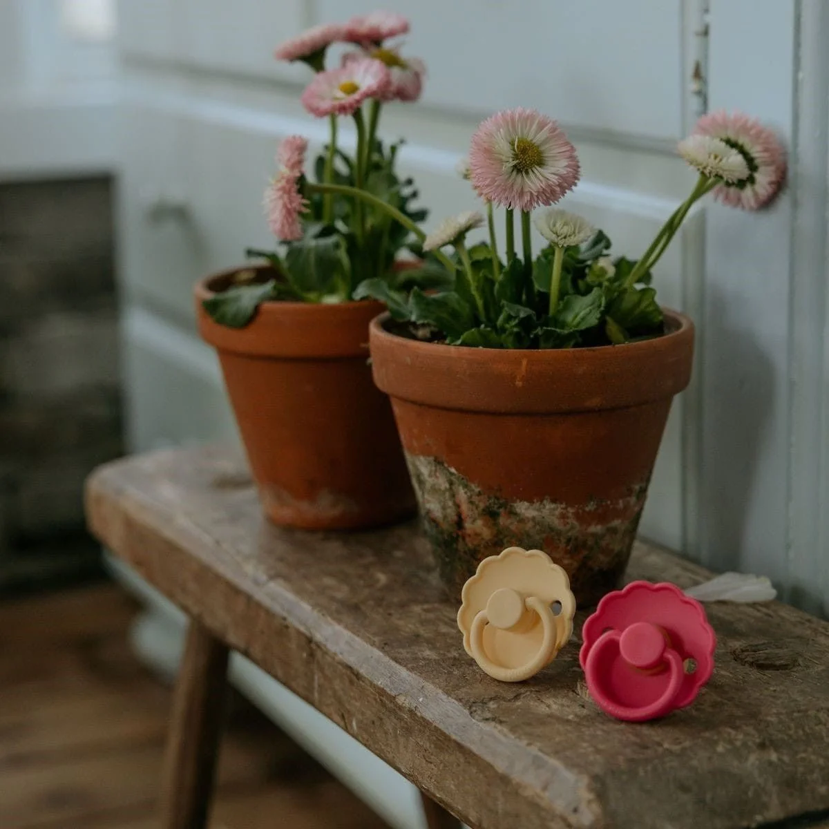 Miniatuur 2