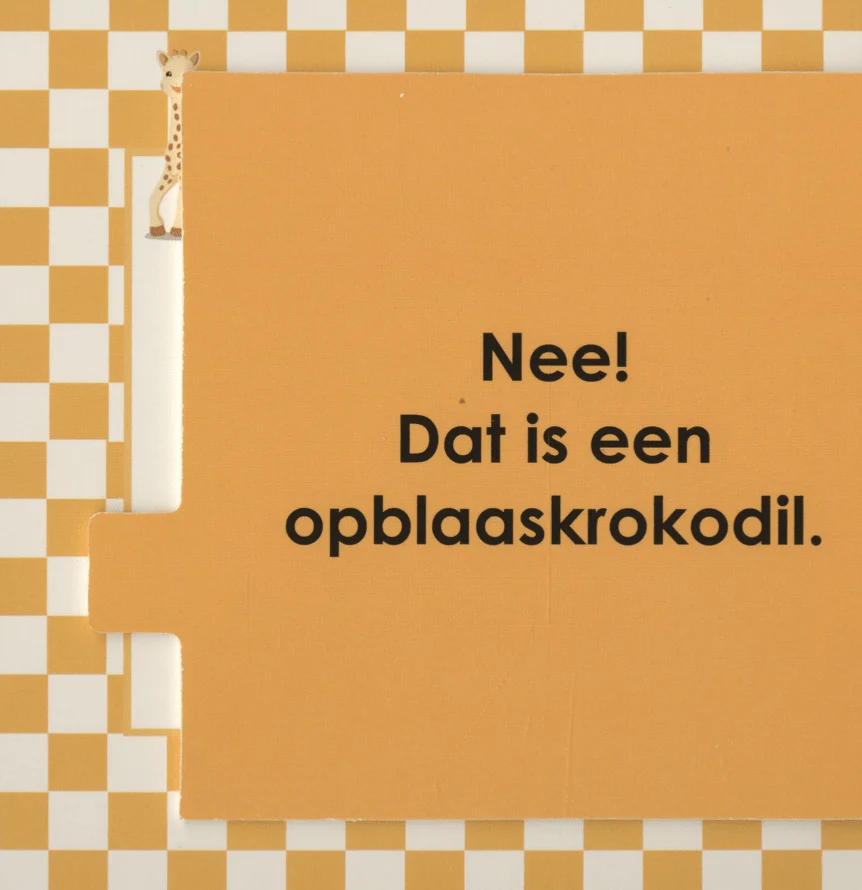 Productafbeelding 9
